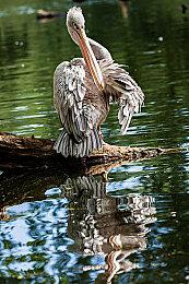 传《GTA6》首个预告片段泄露 2024年秋季发售